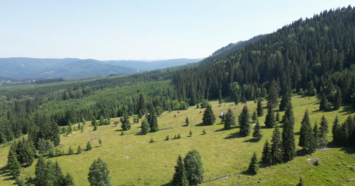 Bilbor & Toplița - Corners of peace for a perfect summer