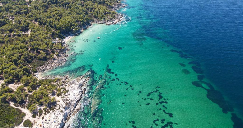 How a family of Romanians remained without 3,000 euros in the Halkidiki vacation: "They want to smell the case"