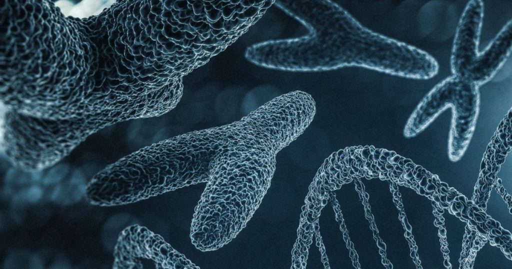 The Y chromosome, which determines the sex of men, could disappear. Is in the process of degeneration, warns the specialists