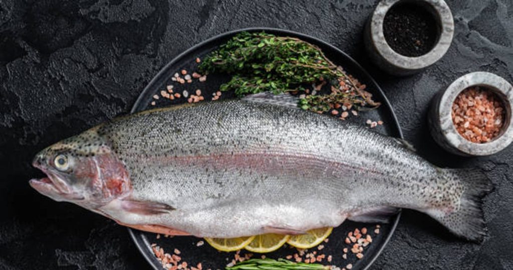 The fish could be sacrificed by other methods. The researchers say they feel "intense pain" during asphyxiation