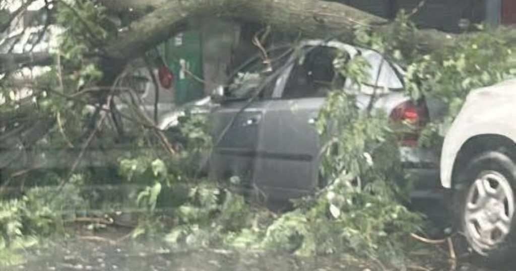 What meteorologists say about the storm that ravaged the capital and Ilfov. The balance of Vijelia