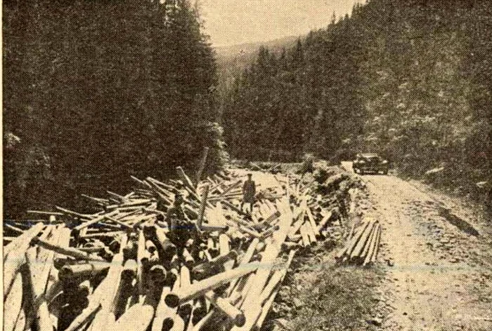 Transalpine. Source; The newspaper Weather, 1936