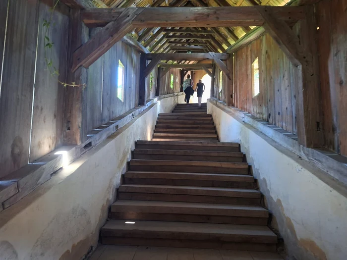 The Cosmin Zamfirache photo covered staircase