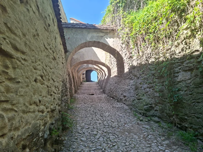 The road of the Cosmin Zamfirache photo wall