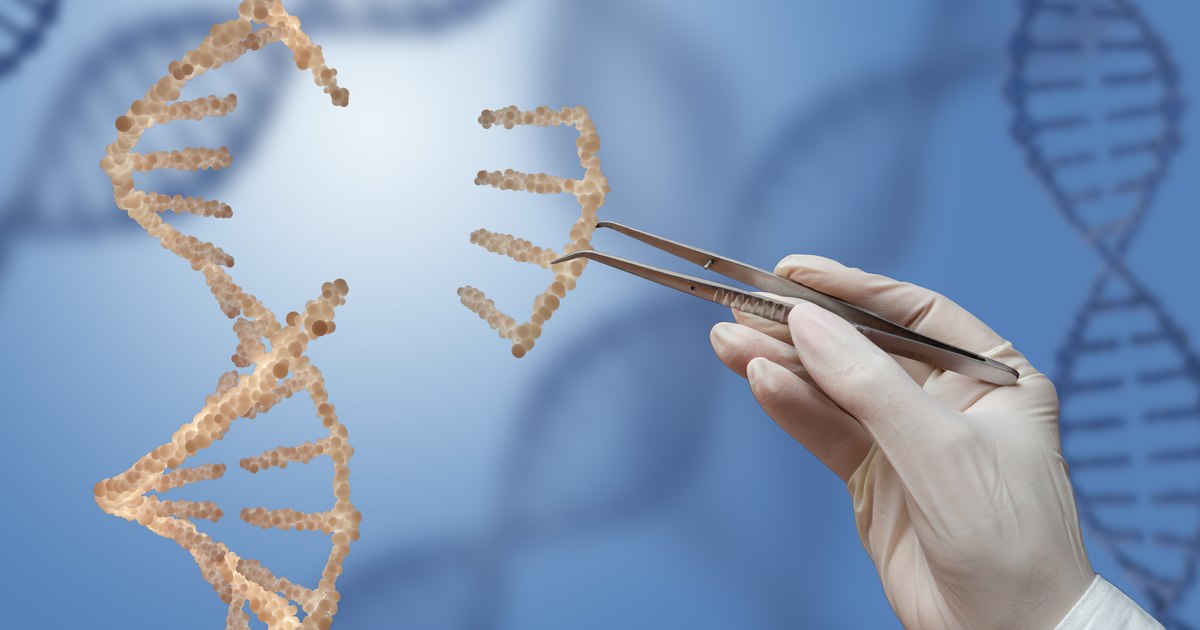 40,000 -year -old human DNA, injected by Japanese researchers in mice. The results are unexpected