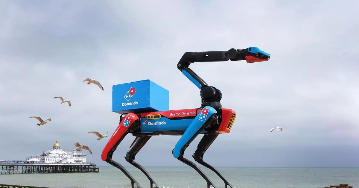 Dog-robot on the coast: deliver pizza and guard the order of winged thieves