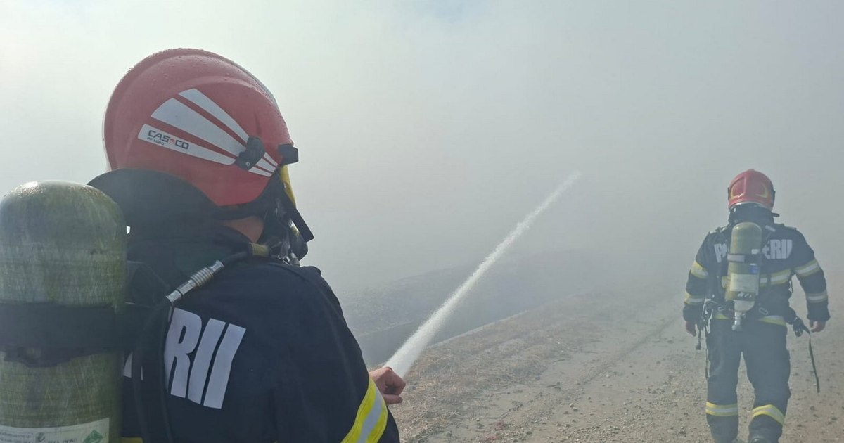 How the vegetation fires affect our health. Doctor: "No one is immune to their effects"