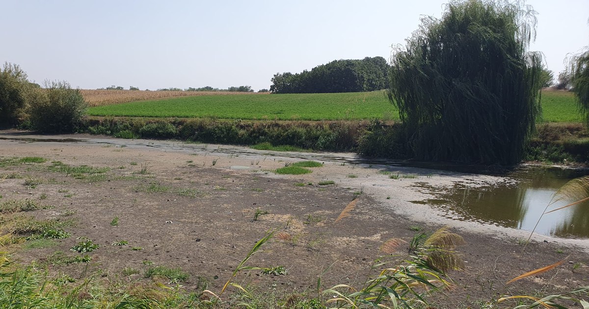 Minimum historical flow on the Danube, at the entrance to the country. Over one hundred localities are affected by drought. The situation of water reserves