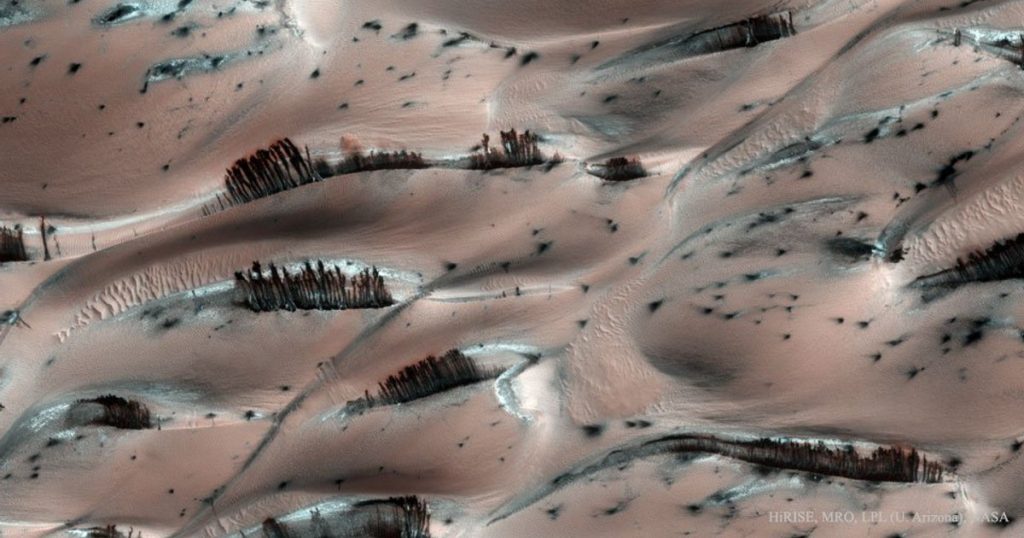 NASA published a photo with a bizarre scene with the "trees" on Mars. What is the explanation of the phenomenon