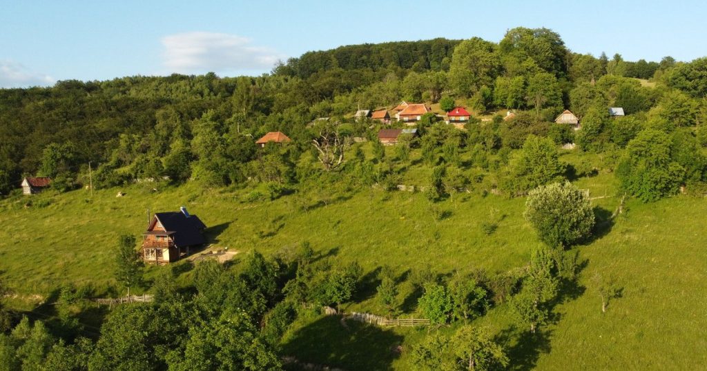 PHOTO Diaspora sighs after the Romanian villages: "I dream of the caps and chickens I will have"