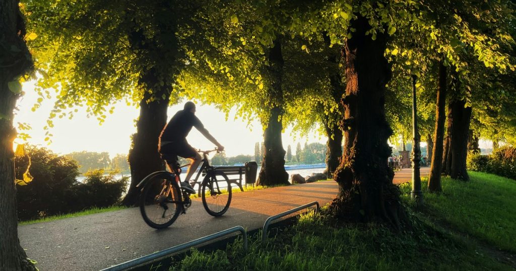 Photo escape on two wheels. Cyclotourism routes near Bucharest, in places where nature and history make a good house