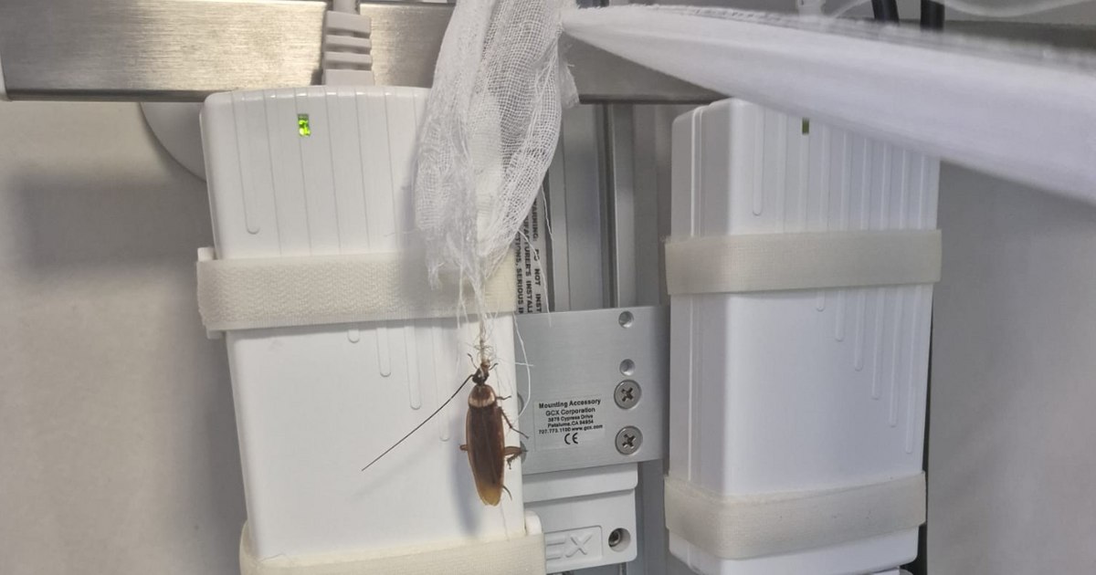 President Sanitas's proposal following the accusations regarding Floreasca Hospital. "I did not notice systemic errors"