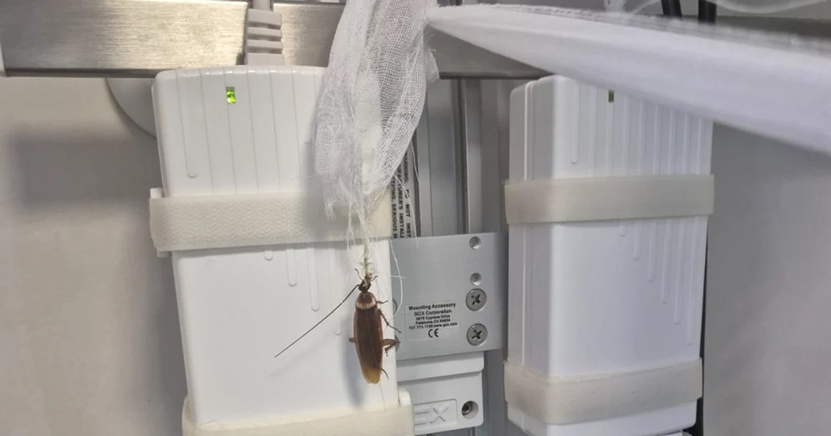 The Minister of Health, after the control from Floreasca Hospital in the case of the patient with serious burns. "I asked for the resignation of the coordinator of the Center for Arms"