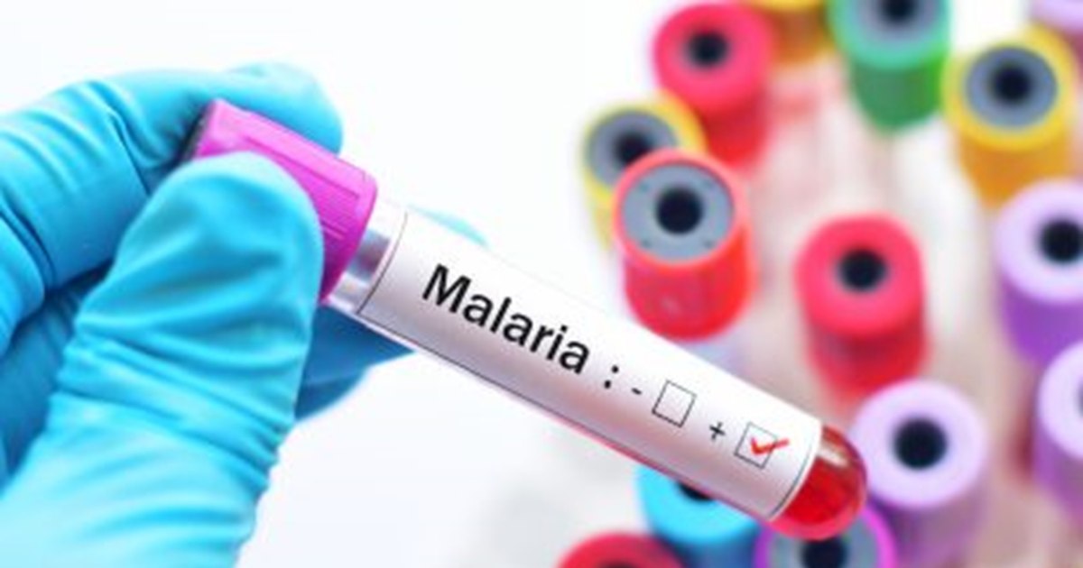 The specialists do not exclude the possibility of an outbreak of malaria in Romania. "We consider that a local transmission is possible"