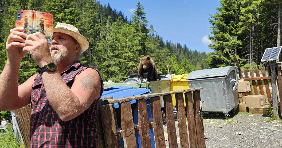 Video Bears, Tomberoan Masters on Transfăgărășan: "They are already so smart that they block the road"