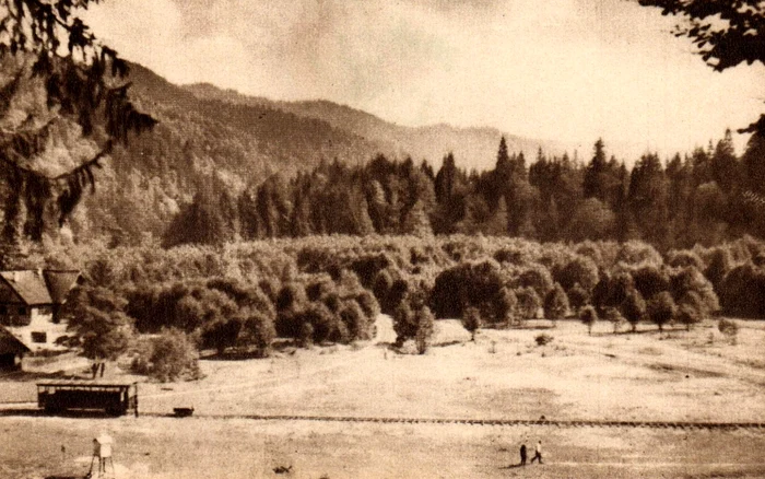 COMPANA. Photo: Delcampe. net, illustrated