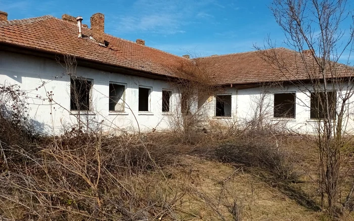 Pichet, Jimbolia. Source: Facebook