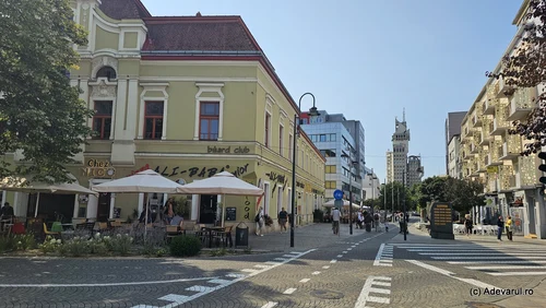 Satu Mare Photo Daniel Guță Adevărul (2) JPG