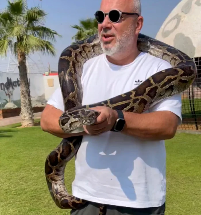 The coach fell in love with snakes in 2022, when he visited a zoo. Photo Instagram