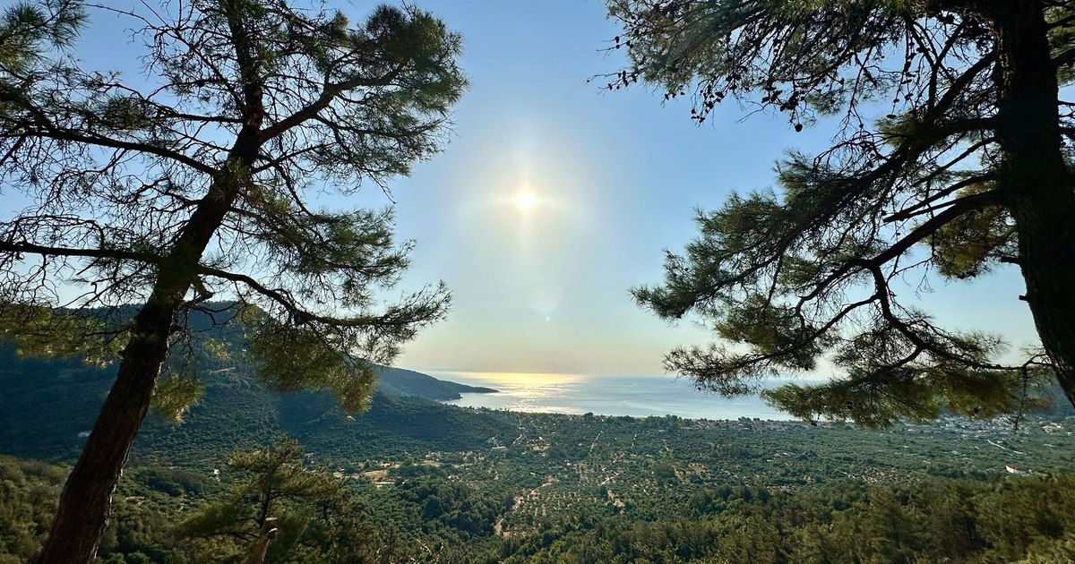 PHOTO How much does a full holiday in Thassos for a family with a child and puppy, plus tested recommendations. The island of emerald without secrets