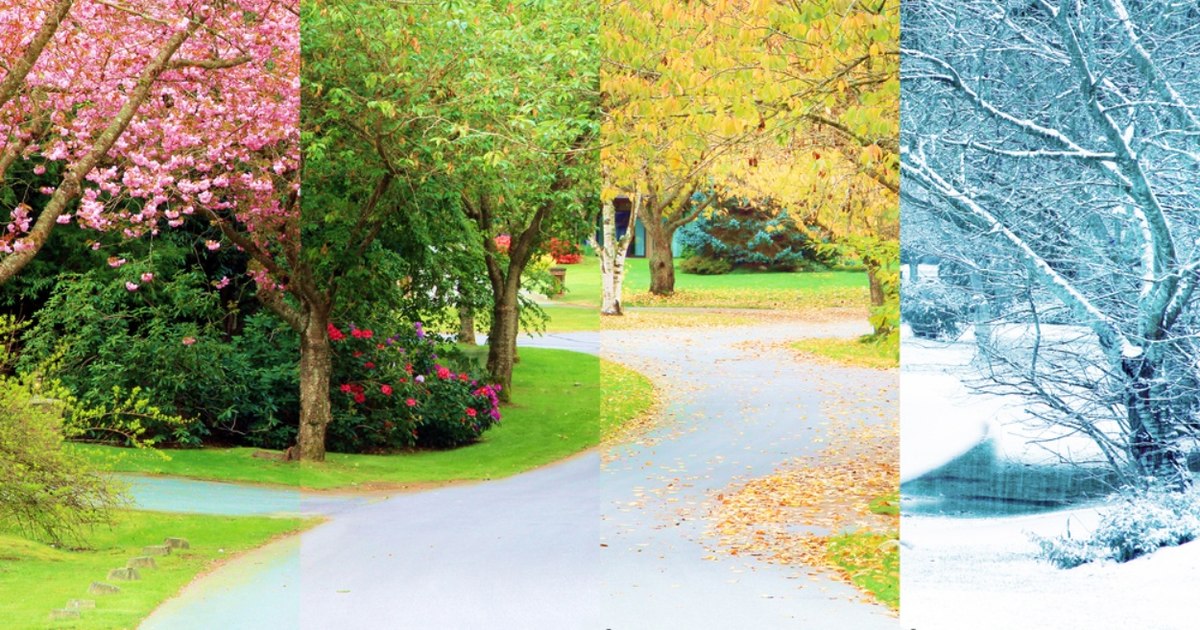 The Earth has two new seasons, and two others could disappear, according to a study