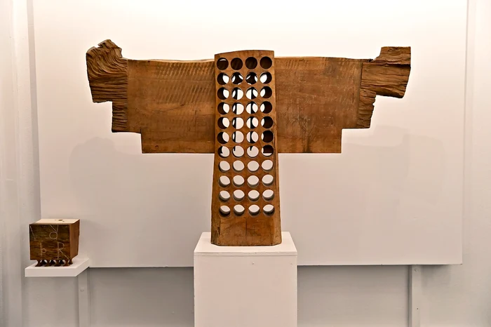 Ovidiu Maitec 100 JPG