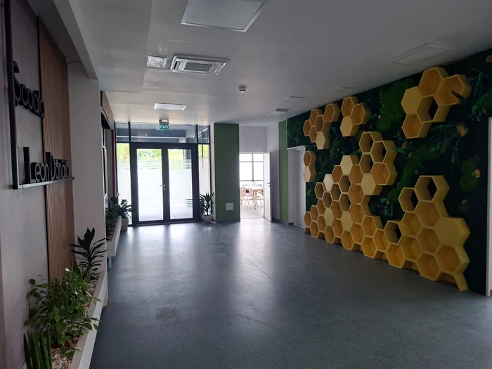 Entrance to the Photo Cosmin Zamfirache school