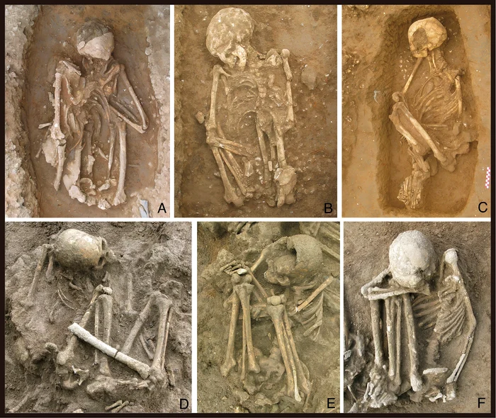 Pictures with crouching mummies, 10,000 years old from southern China Pnas Org