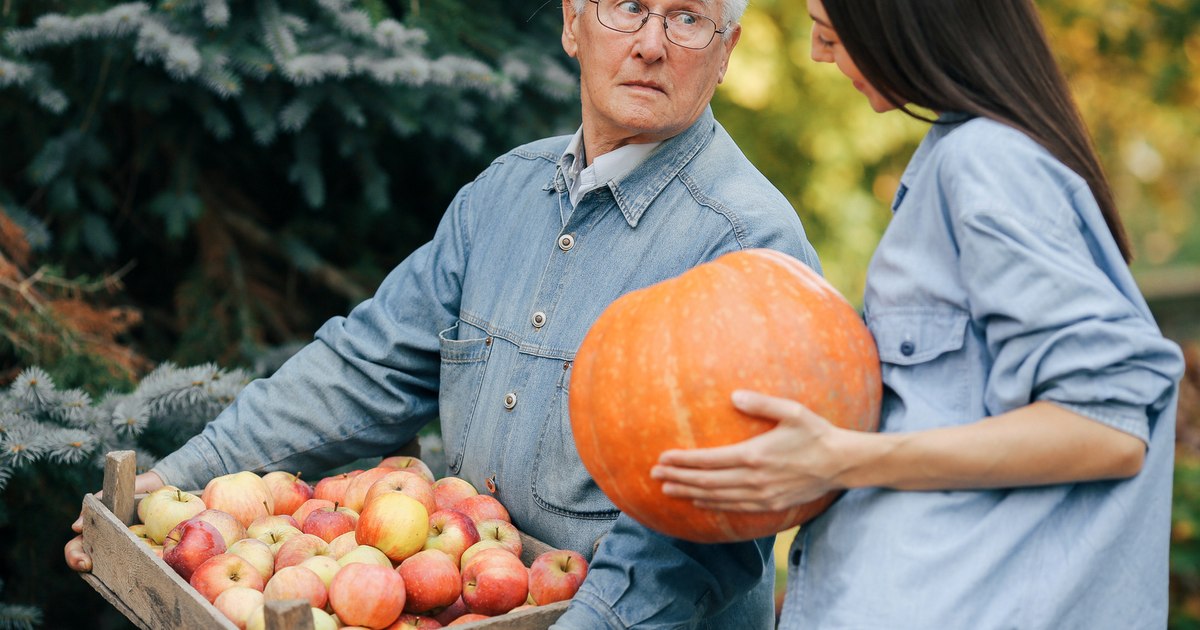 Cinderella garden, the wonderful food of autumn. "It is mentioned as a real miracle for masculinity"