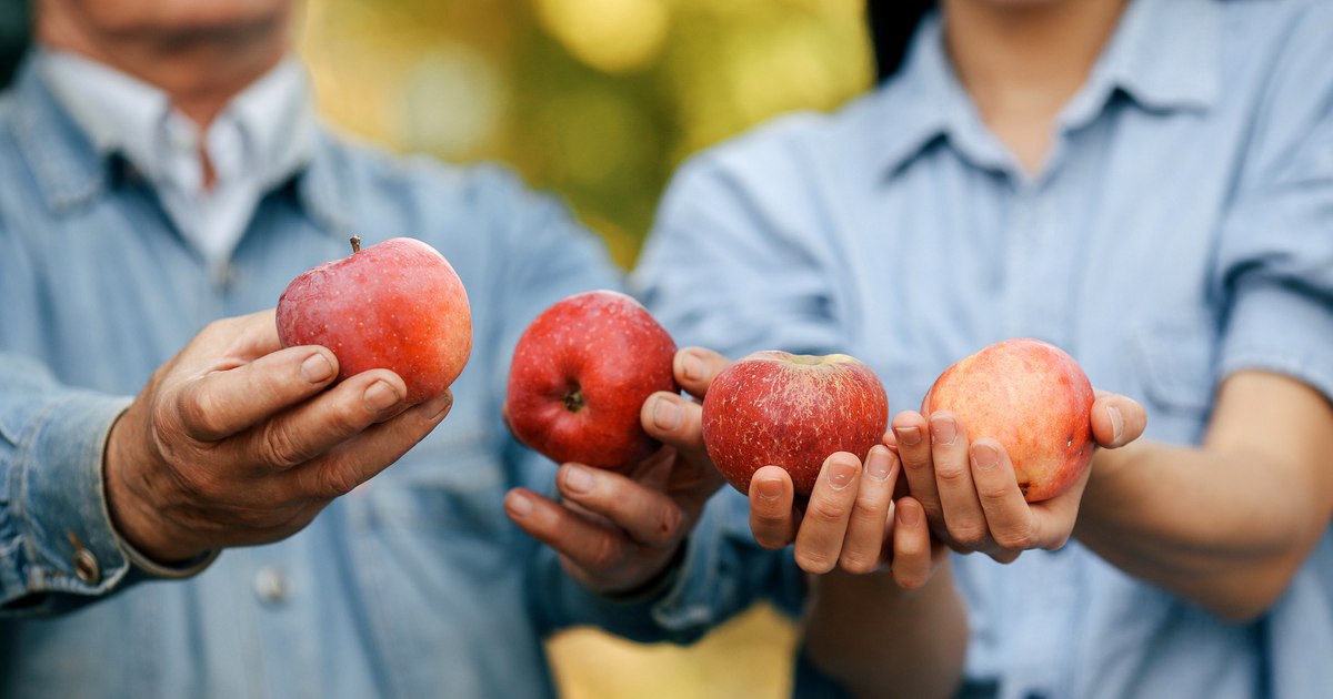 How healthy are the fruits and vegetables sold by Romanians at the gate of the house: "It is true that they are not as beautiful"