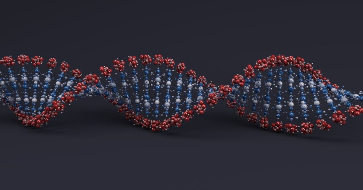 Human DNA: How does it work and what does we do?