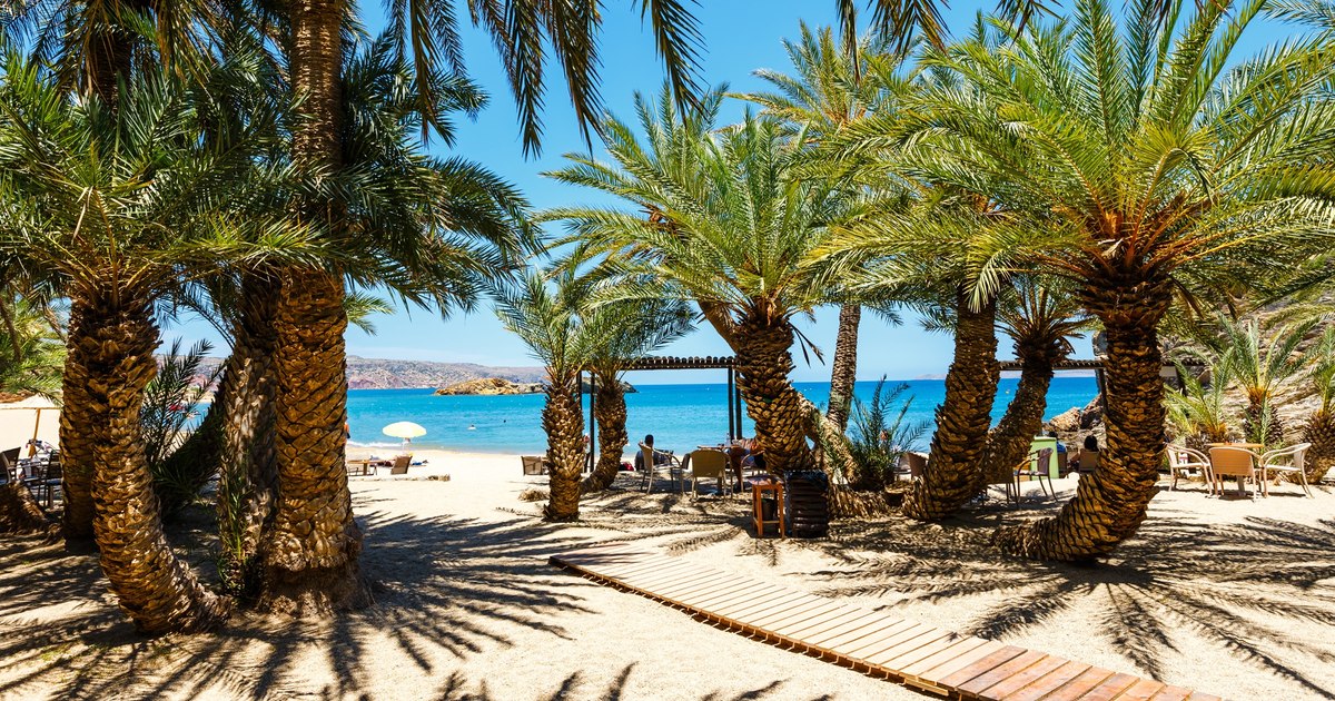 PHOTO FULL CRETA GUIDE: In search of Zeus, exotic forests of palm trees, the Caribbean of Greece and the oldest olive in the world