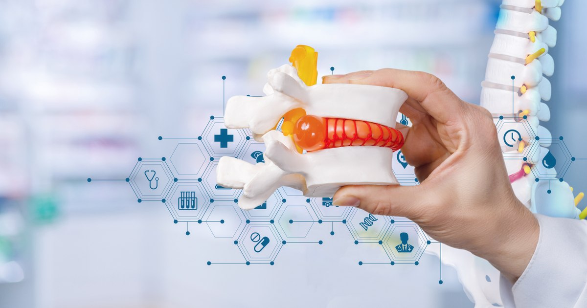 Revolutionary discovery: the "biological button" that can reverse osteoporosis and rebuild fragile bones