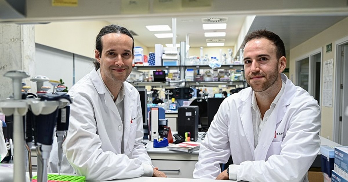 The black cancer box: The hidden tumor history can predict the progression of the disease and transform the treatments