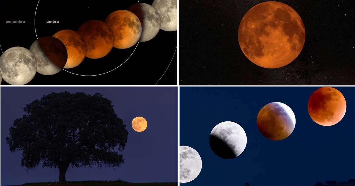 VIDEO September 7, 2025: Moon Sangerie, Impressive show of the total eclipse that will light the sky in reddish shades for 6 billion people