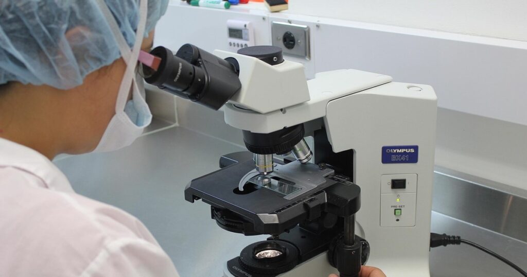 Where is found and what diseases causing the Marcescens Serracy, the bacteria discovered at the Children's Hospital in Iași, where six children died