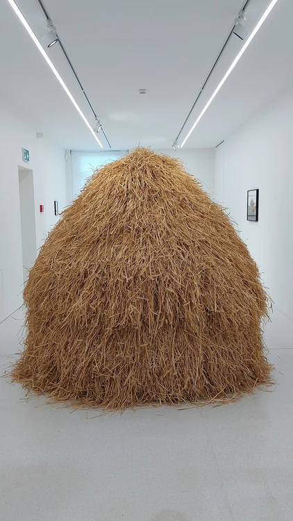 AFCN funding makes the pace and consistency of residency possible. 