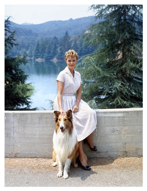 June Lockhart in Lassie PHOTO: X