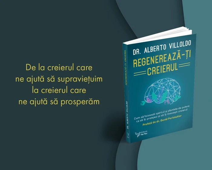 Article Regenerates your Brain jpg