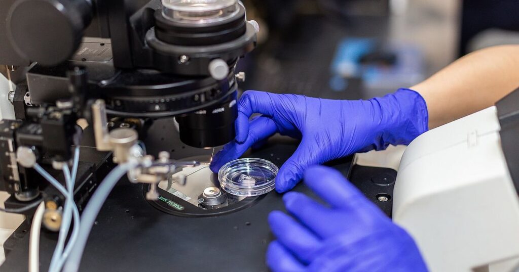 In the face of cancer, motherhood seems an impossible dream. But oncofertility proves the opposite