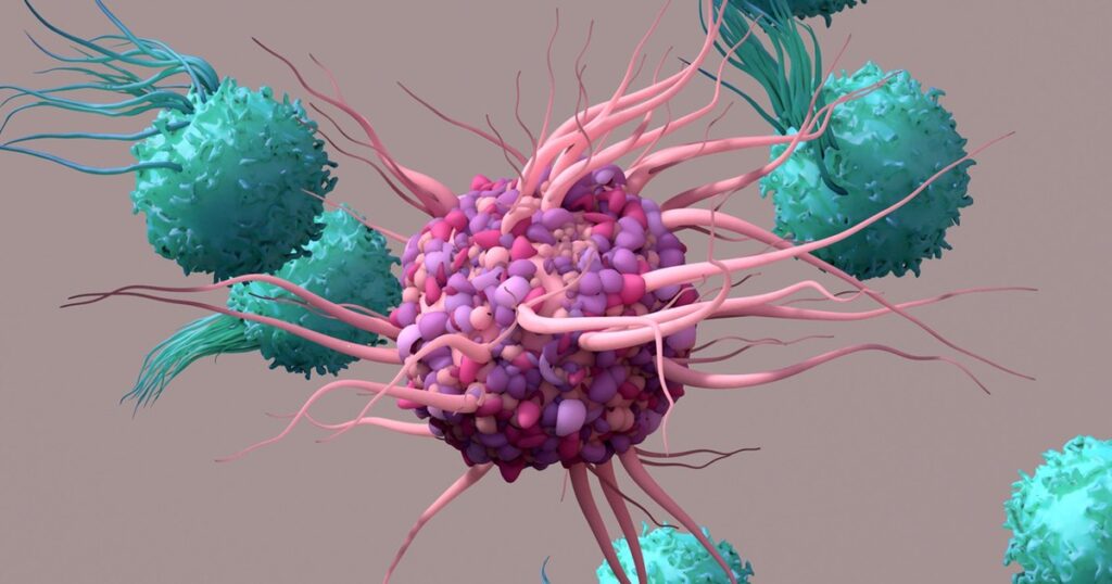 Nobel 2025: Regulatory T cells, the weapon that teaches the body to stop attacking and heal itself - from autoimmune diseases to transplants