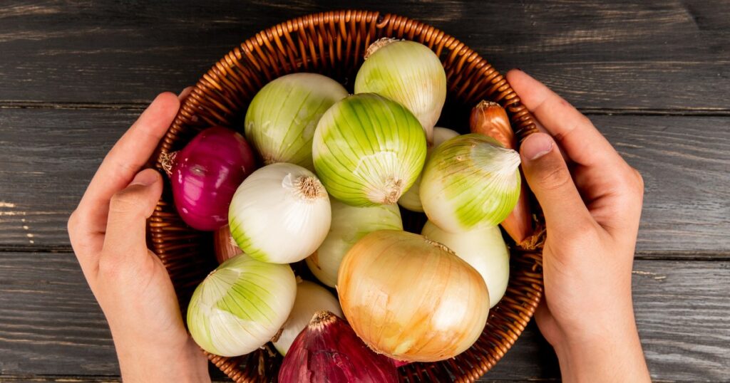 Onion, healing vegetable in the garden, cultivated from the Dacian time. The scientists showed him miraculous effects