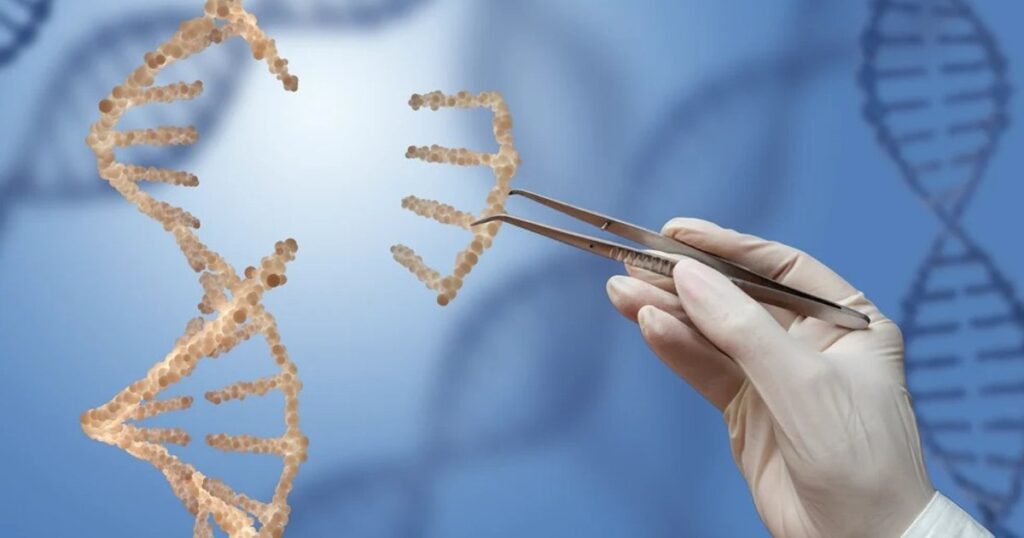 The human species appeared due to a millions of years old virus
