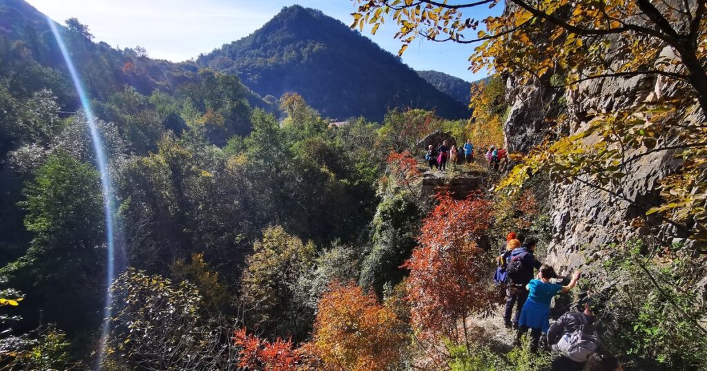 The most useful tips for autumn hiking on the mountain. "If a bear shows signs that he wants to follow you ..."