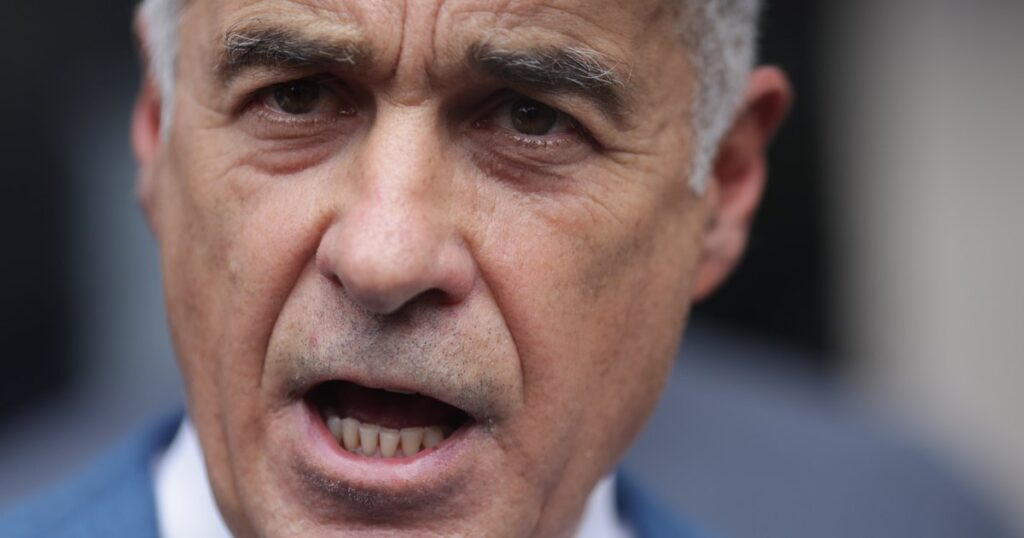 Video Călin Georgescu's plan: the lion equal to the pound. The sovereignist, ironized online: "It is a Dacian lion used by Illuminati"