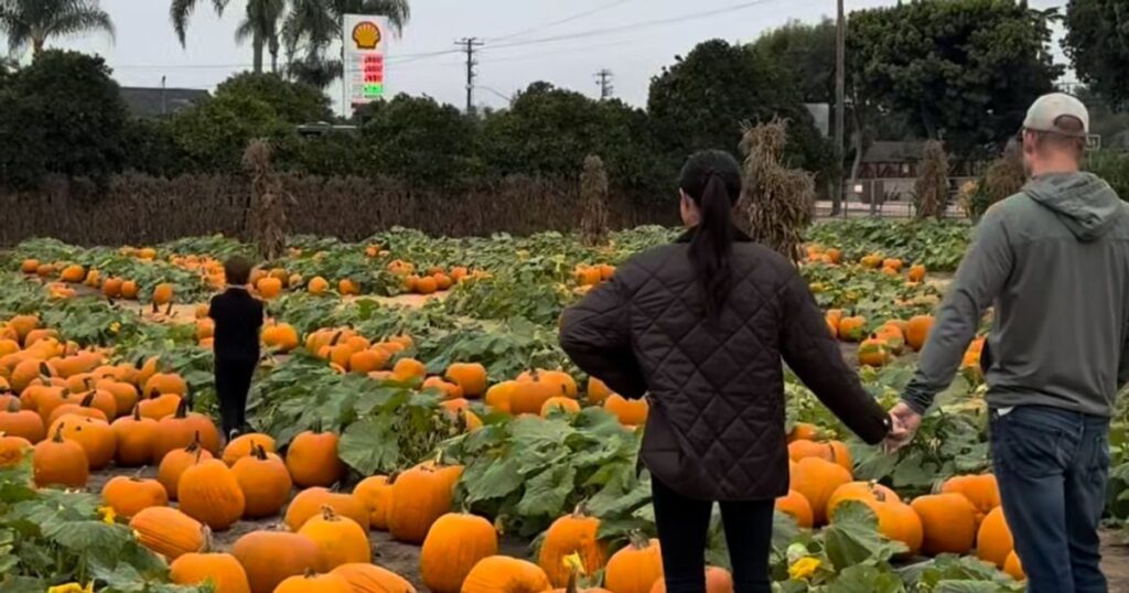 Video Prince Harry and Meghan Markle took their children to a pumpkin farm: moments captured by the Duchess