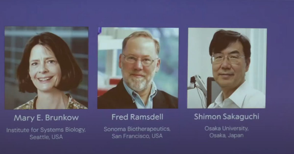 Who are the three researchers who received the Nobel Prize for Medicine 2025. What have they discovered