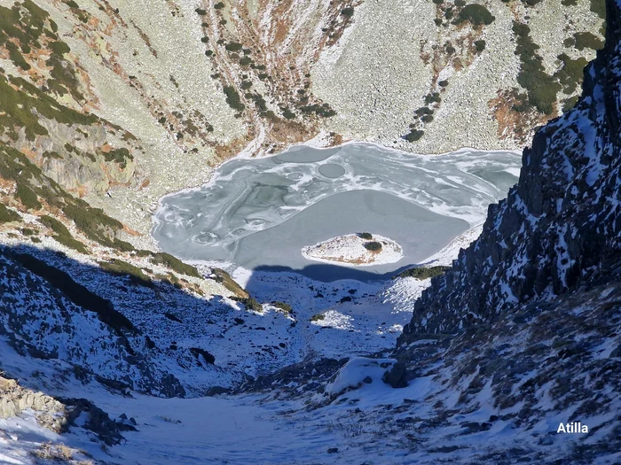 The Goat's Calf Photo Attila Dobai