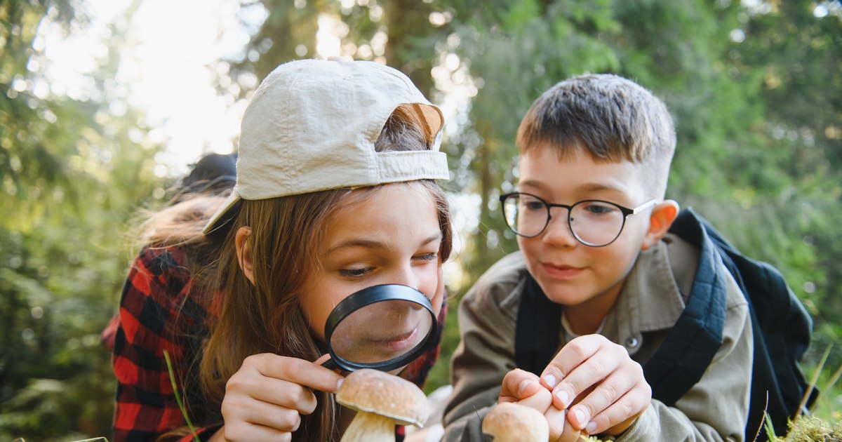 Education through exploration: how to turn a mundane walk into an adventure for children