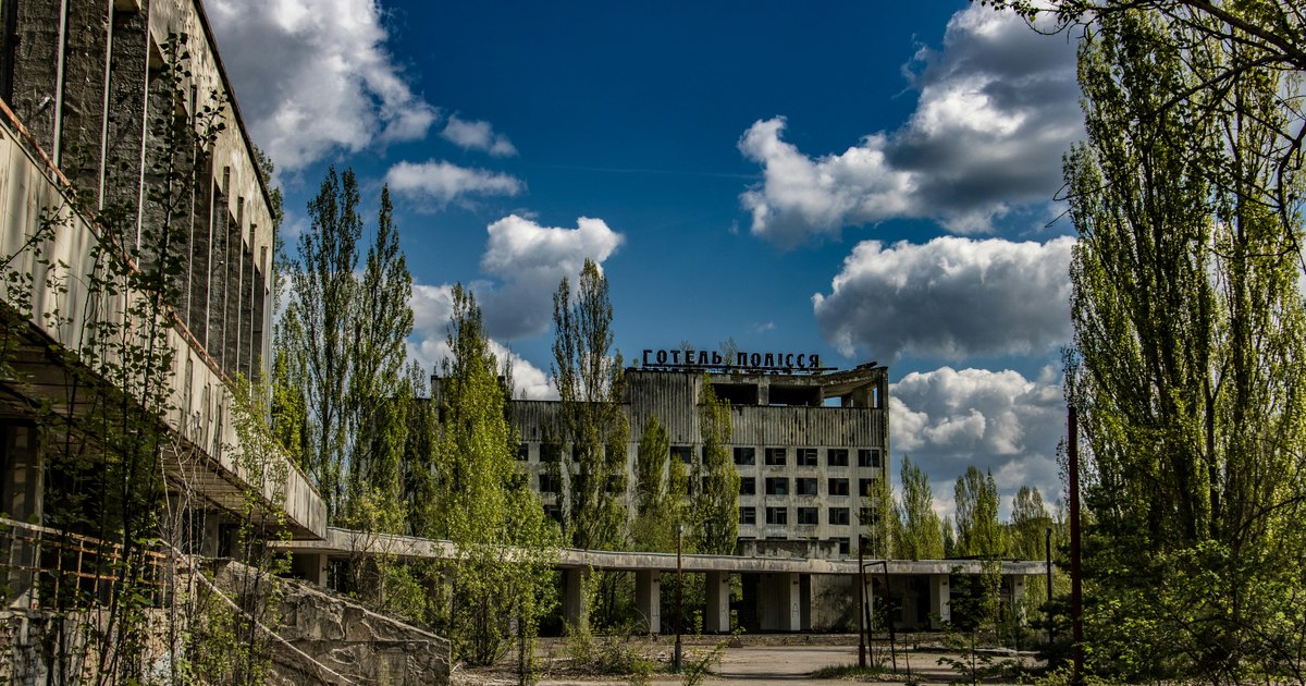 The mysterious black mushrooms of Chernobyl that feed on radiation. Scientists were stunned